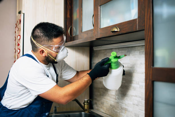 Best Emergency Pest Control  in Port Jefferson Station, NY