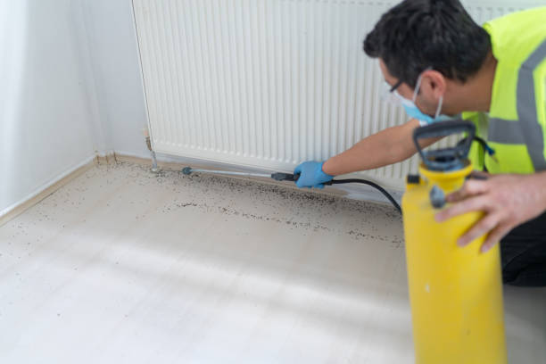 Best Cockroach Control Services  in Port Jefferson Station, NY