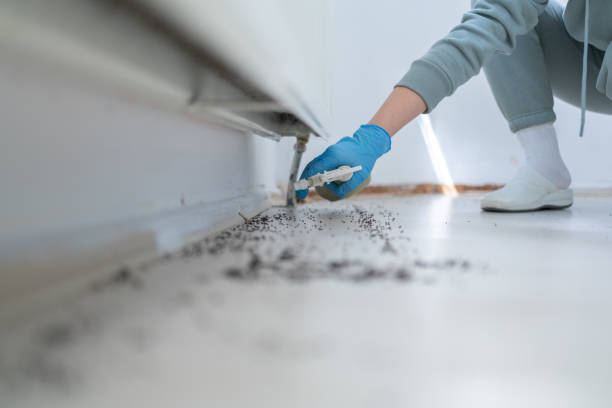 Best Pest Prevention Services  in Port Jefferson Station, NY